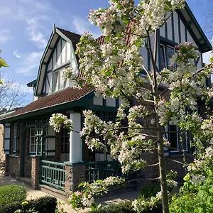 Bed and breakfast Tree & B, Brujas